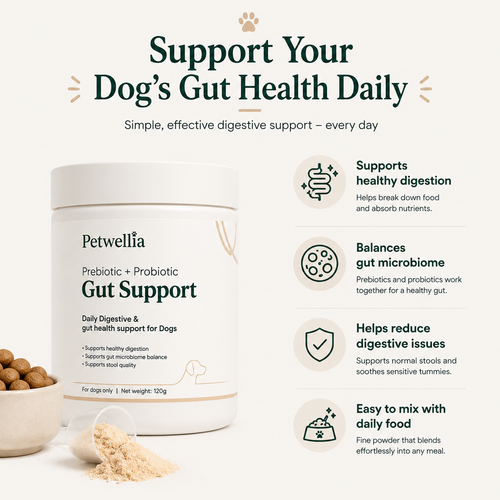 Petwellia Daily Gut Health Powder for Dogs