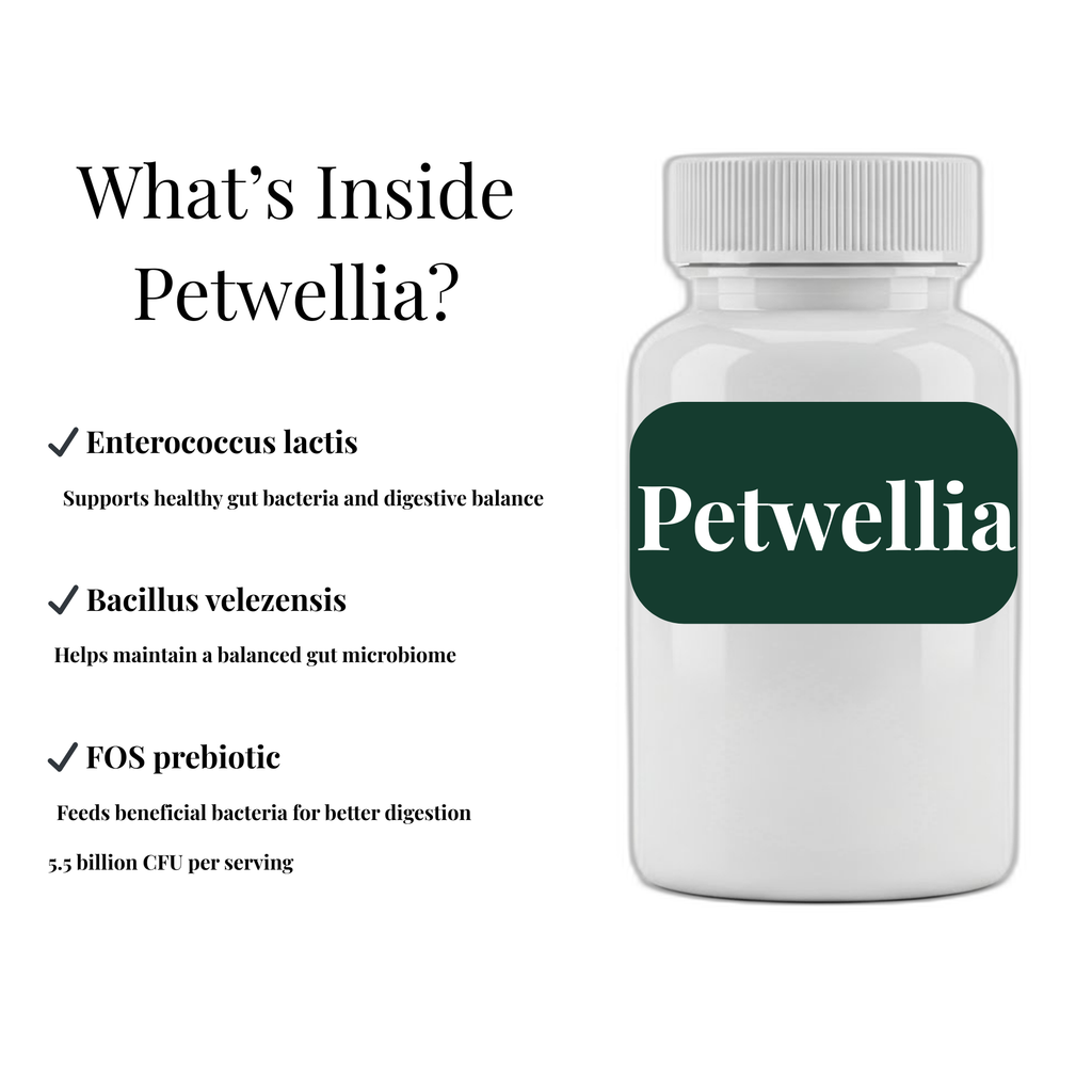 Petwellia Daily Wellness Supplement for Dogs